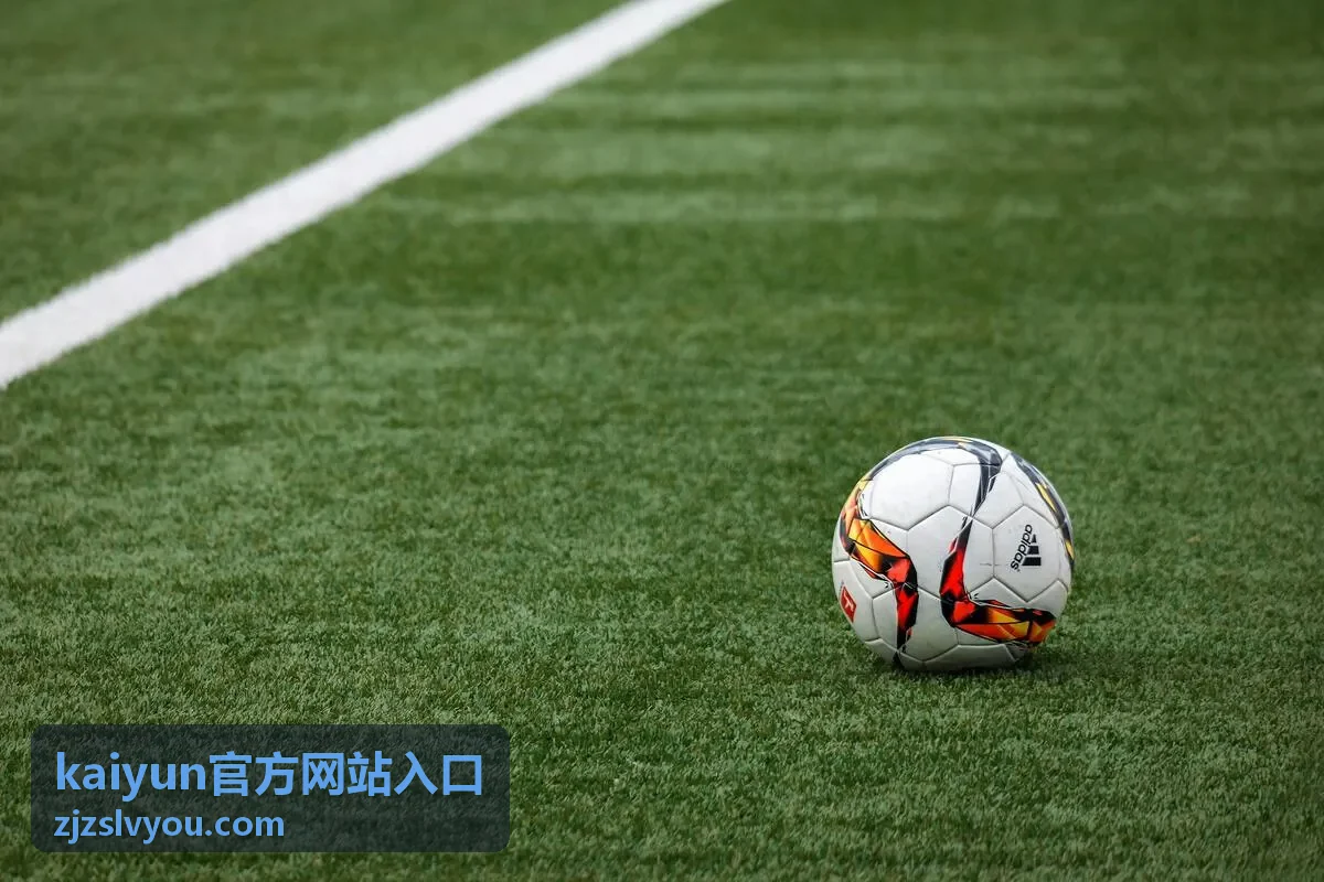 官方入口使用说明的回放画面